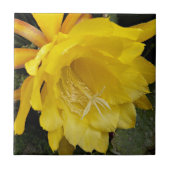 イエローオーキッドサボテン開花フローラ タイル (正面)
