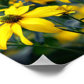 イエローカットリーフコンフロアーフローラ写真 ポスター (角)