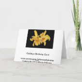 イエローカトレヤオーキッド誕生日カード カード (裏面)