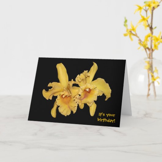 イエローカトレヤオーキッド誕生日カード カード (黄色い花)