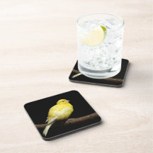 イエローカナリア