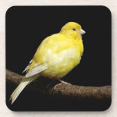 イエローカナリア コースター (正面)