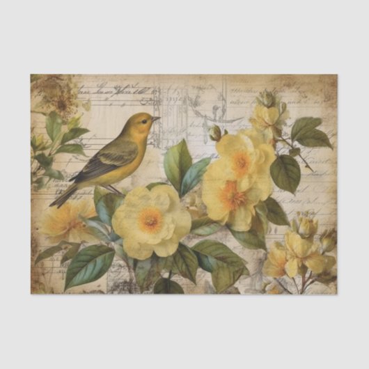 イエローカナリア 薄葉紙 (正面)