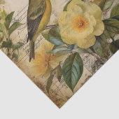 イエローカナリア 薄葉紙 (詳細)