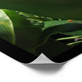 イエローカヒリジンジャートロピカルフラワーポスタープリント ポスター (角)