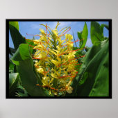 イエローカヒリジンジャートロピカルフラワーポスタープリント ポスター (正面)