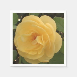 イエローカメリアナプキンス スタンダードカクテルナプキン