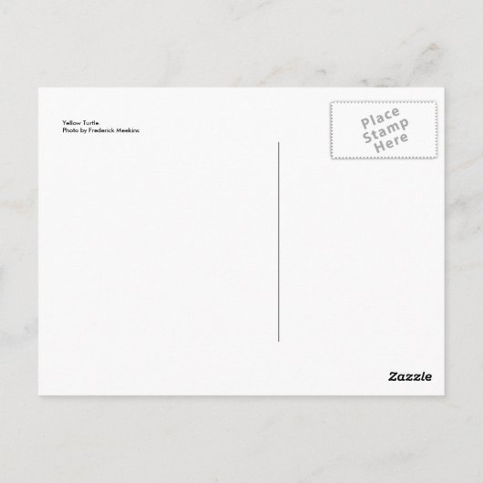 イエローカメ ポストカード (裏面)