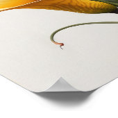 イエローカラリリリユリフラワーアートプリントポスター ポスター (角)