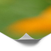 イエローカリフォルニアポピーポスター ポスター (角)