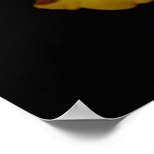 イエローカンナカンナユリの花の写真 ポスター (角)