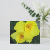 イエローカンナカンナユリの花の写真 ポストカード (スタンド正面)