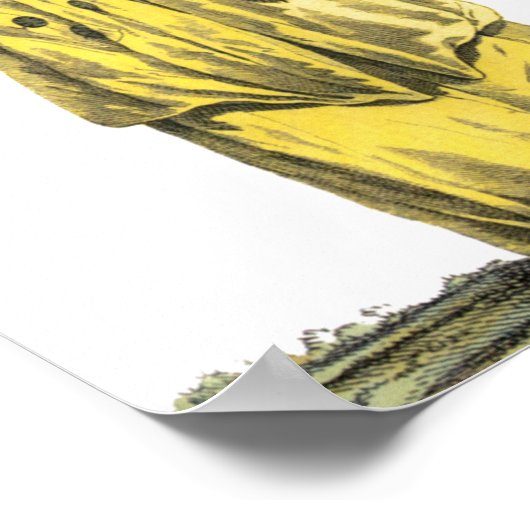 イエローガウンフランスのレディーリージェンシーファッションスケッチ ポスター (角)