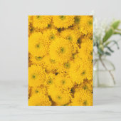 イエローガーデンアスター完璧な色の夏の花 招待状 (スタンド正面)