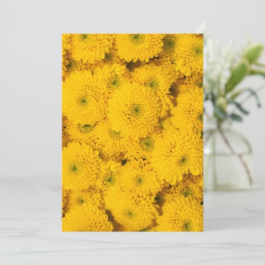 イエローガーデンアスター完璧な色の夏の花 招待状 (スタンド正面)