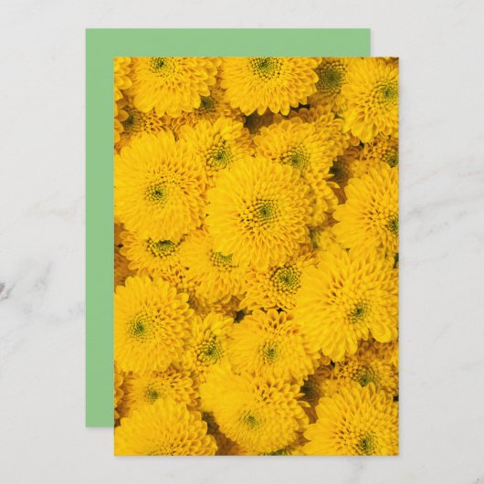 イエローガーデンアスター完璧な色の夏の花 招待状 (正面/裏面)
