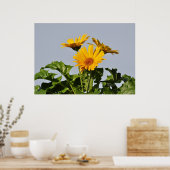 イエローガーベラデイジーポスター ポスター (キッチン)