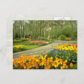 イエロークケンホフガーデンズニアハーレム，オランダ ポストカード (正面/裏面)