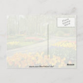 イエロークケンホフガーデンズニアハーレム，オランダ ポストカード (裏面)