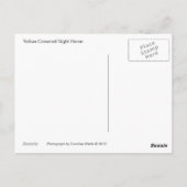 イエロークラウンナイトサギンはがき ポストカード (裏面)