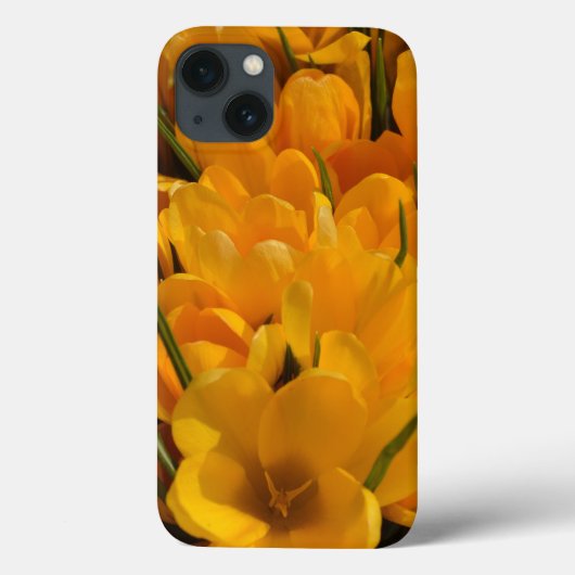 イエロークロキュース – ハッピーフローラヘルドオブ春 Case-Mate iPhoneケース (裏面)