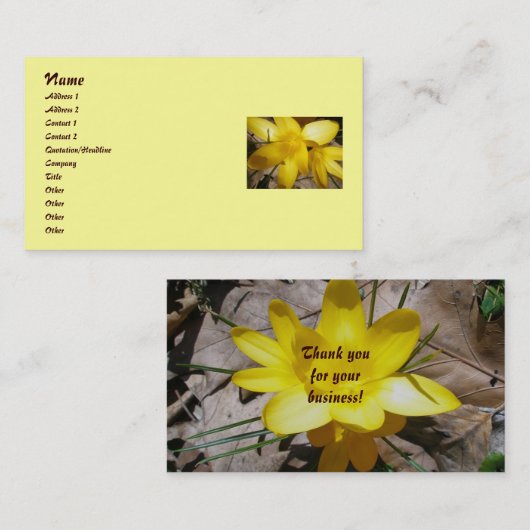 イエロークロシズ名刺 名刺 (正面/裏面)