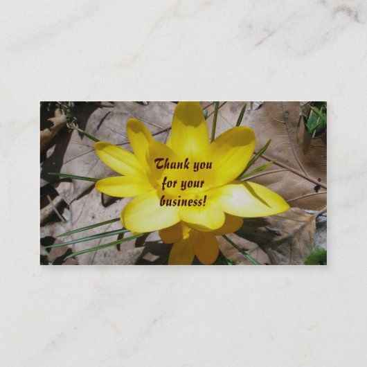 イエロークロシズ名刺 名刺 (裏面)