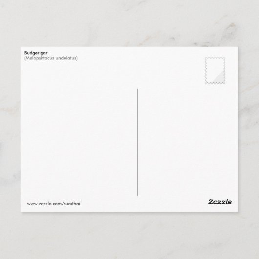 イエローグリーンのブダジェリガー ポストカード (裏面)