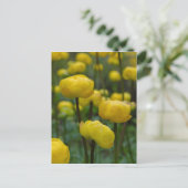 イエローグローブフラワーポストカード ポストカード (スタンド正面)