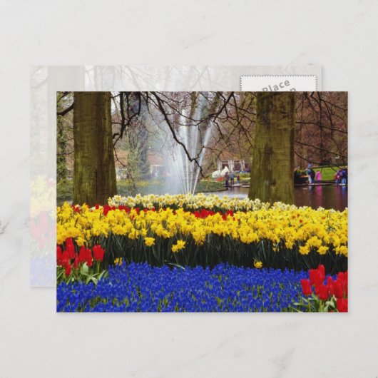 イエローケインホフ庭園,アムステルダム,オランダf ポストカード (正面/裏面)