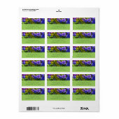 イエローコレオプシスとパープルビオラカラフルスフローラ ラベル (フルシート)