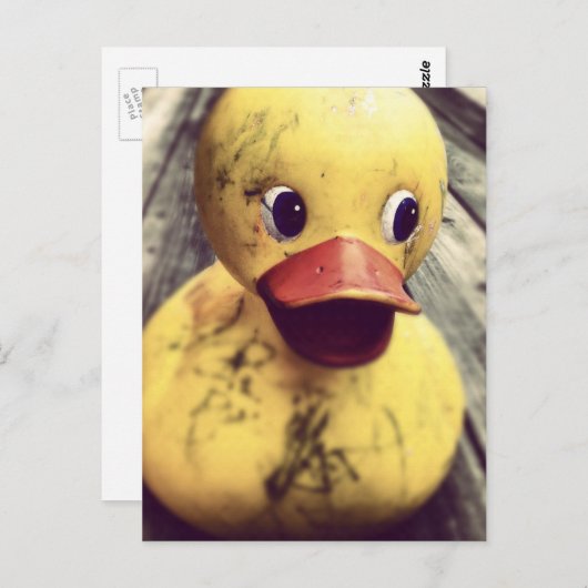 イエローゴムダッキー（アヒルちゃん）お風呂が必要！ ポストカード (正面/裏面)