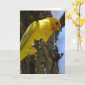 イエローサフロンフィンチ カード (黄色い花)