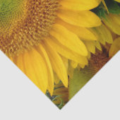 イエローサンフラワーズサマーティッシュペーパーラップ 薄葉紙 (詳細)