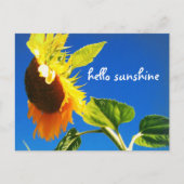 イエローサンフラワーフォトハローサンシャインスクリプトはっきりした ポストカード (正面)