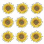 イエローサンフラワー開花国 シール (正面)