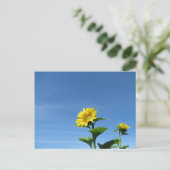 イエローサンフラワー&ブルースカイ ポストカード (スタンド正面)