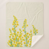 イエローシトリモダンンフローラ開花 シェルパブランケット (正面)