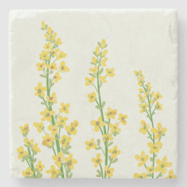 イエローシトリモダンンフローラ開花 ストーンコースター