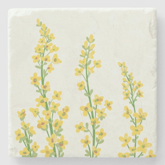 イエローシトリモダンンフローラ開花 ストーンコースター (正面)