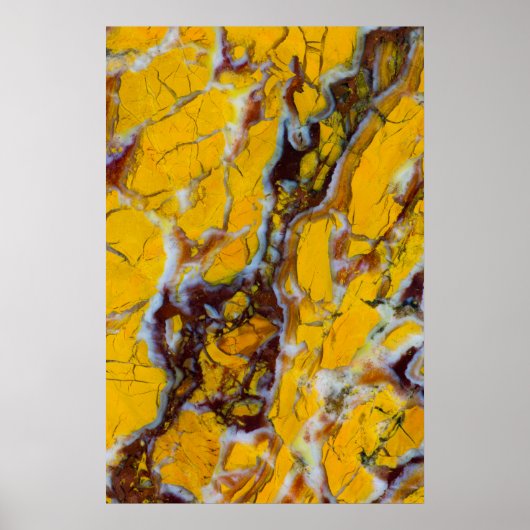 イエローシャトゥックライト ポスター (正面)