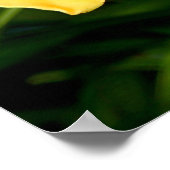 イエローシンビジウムオーキッドポスター ポスター (角)