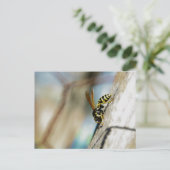 イエロージャケットポストカード ポストカード (スタンド正面)