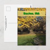 イエロージンコ ポストカード (正面/裏面)