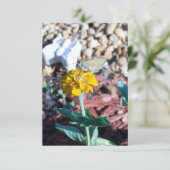 イエロージンニアの花とモスの写真 カード (スタンド正面)