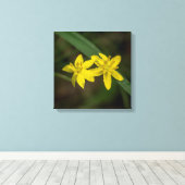 イエロースターグラスワイルドフラワー キャンバスプリント (インサイチュ (ウッドフロア))