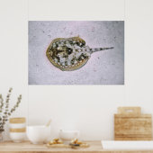 イエロースティングレイ ポスター (キッチン)