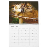 イエローストーンのオオカミ カレンダー (3月 2027)