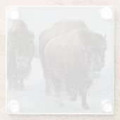 イエローストーンのバイソン ガラスコースター (裏面)