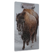 イエローストーンのバイソン クリップボード (右)